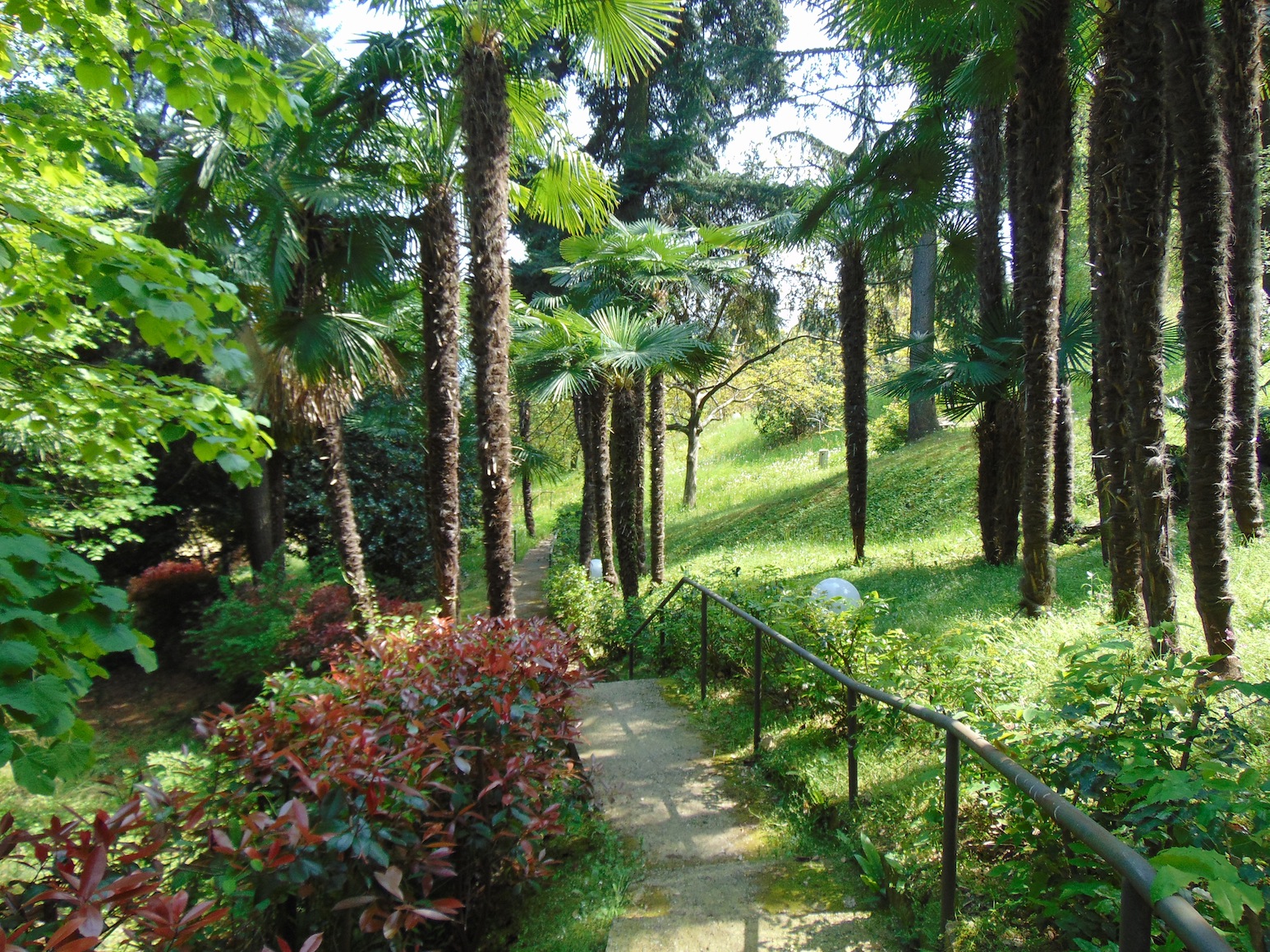 Parco del Museo Meina